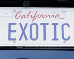 The Exotic Family Hauler – Everyday Driver Review