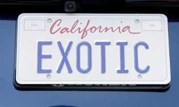 The Exotic Family Hauler – Everyday Driver Review