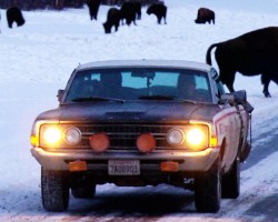 The Ranchero Returns Part 2! Alaska or Bust, the Sequel – Roadkill Episode 14