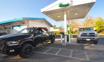 Sugarcane, modified to produce oil, promises better biodiesel