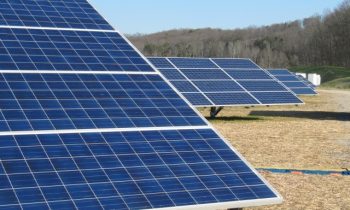 Elon Musk vs Warren Buffett: how two titans see carbon-free electricity