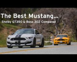 Shelby GT350 vs Boss 302 – The Best Mustangs Compared – Everyday Driver