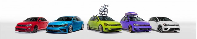 Volkswagen Enthusiast Models