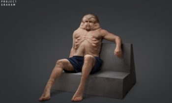 If humans evolved to survive car crashes