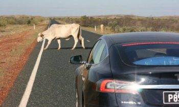 Tesla 3,300-mile Australian camping trip, sans Superchargers