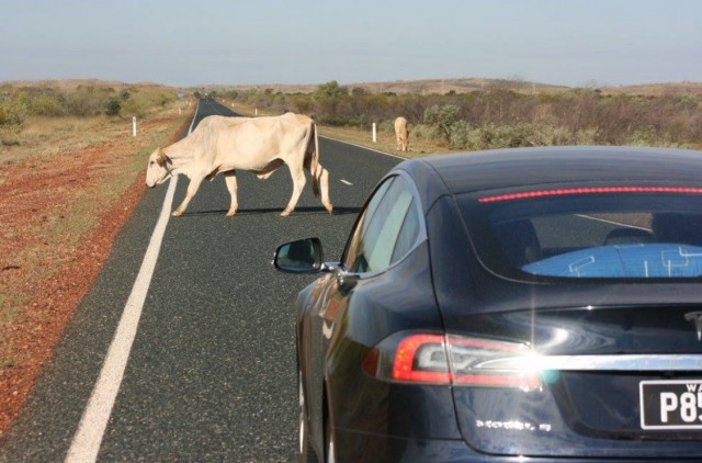 Tesla Model S on Australia's Northwest Coastal Highway [photo: Robert & Robin]