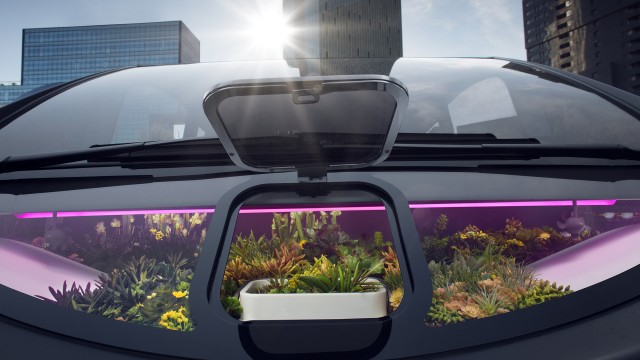 Rinspeed Oasis concept, 2017 Consumer Electronics Show Rinspeed Oasis concept, 2017 Consumer Electronics Show