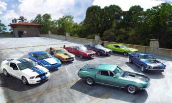 Explore the Ford Mustang collection that began with a pet pony