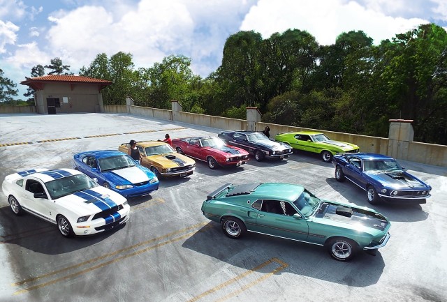 Speed family Mustang collection
