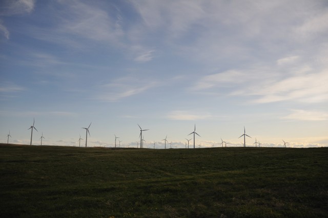Wind farm outside Fort MacLeod, Alberta, Canada [photographer: Joel Bennett]