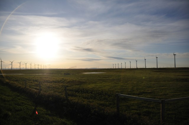 Wind farm outside Fort MacLeod, Alberta, Canada [photographer: Joel Bennett]