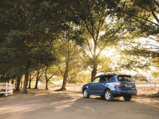2016 Subaru Forester