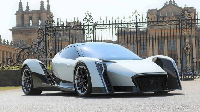 Dendrobium D-1 concept