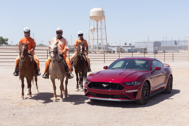 Colton Whiteside, Justin Balderama, and Curtis Gabriel train horses in Florence, Ariz.