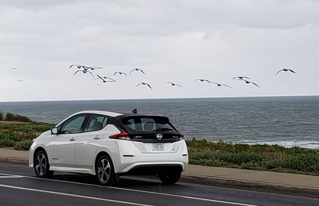 Flock of pelicans flying over 2019 Nissan Leaf Plus, San Diego area, Feb 2019