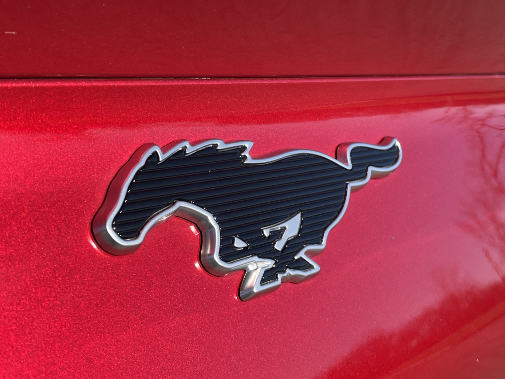 2021 Ford Mustang Mach-E